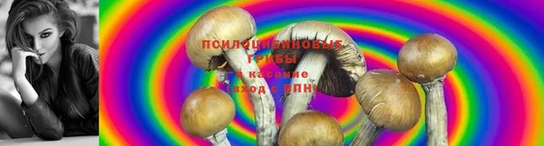 героин Абаза